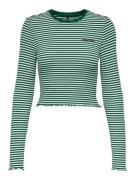 Only Onlmaja ls cropped stripe top cc j dessin