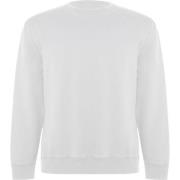 Roly Unisex adult batian sweatshirt met ronde hals