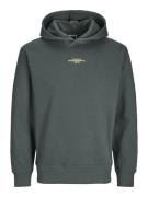 Jack & Jones Jcoalpha mountain print sweat hood oud