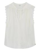 Gustav Darsi tops 56648 7355