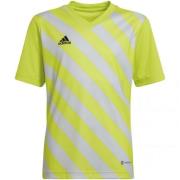 Adidas Kinder/kids entrada 22 grafische trui
