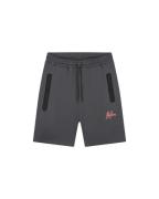 Malelions Sport counter shorts antra/ ms2-ss25-09-817