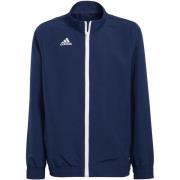 Adidas Kinder/kinder entrada 22 presentatiejasje