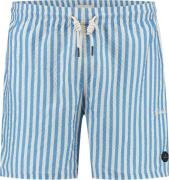 Dstrezzed Ds case stripe swimshorts