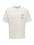 Only & Sons Onsmilo sketch rlx coast ss tee cs