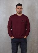 Tommy Hilfiger Reg badge sweater