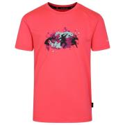 Dare2b Kinderen/kinderen amuse ii spring t-shirt