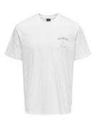 Only & Sons Onskye reg photo ss tee off-white