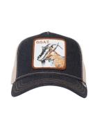 Goorin Bros. The goat petten 101-0385