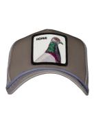 Goorin Bros. Pigeon 100 petten 101-1135