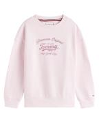 Tommy Hilfiger Sweat kg0kg08683
