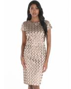 Frank Lyman Jurk 259724