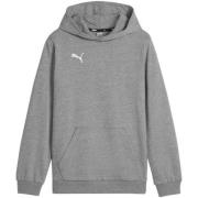 Puma Kinder/kids team goal casuals hoodie