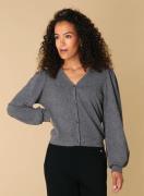 Ivy Beau Rudy vest grey