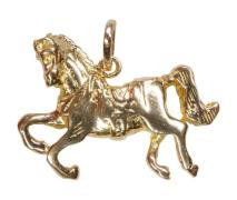 Christian Gouden paard hanger