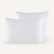 Kussensloop in biologisch tetra, Yafa