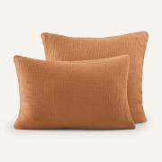 Kussensloop in biologisch tetra, Yafa