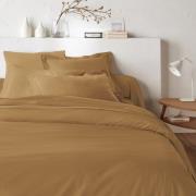 Dekbedovertrek in katoen, Scenario