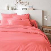 Dekbedovertrek in katoen, Scenario