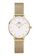 Daniel Wellington Petite Evergold horloge DW00100350
