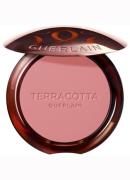 Guerlain Terracotta Blush - blush