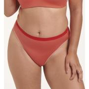 Bas de maillot taille haute Marina Grande