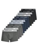 Lot de 12 boxers unis