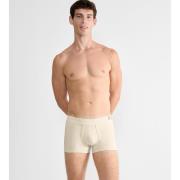 Boxer SLG Good