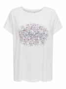 Tee shirt col rond manches courtes